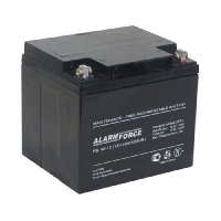 Alarm Force FB